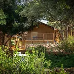 Holiday park Arena One 99 Glamping 4*
