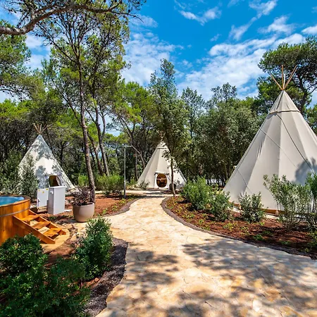 Arena One 99 Glamping Pomer