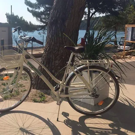 Arena One 99 Glamping ホリデーパーク